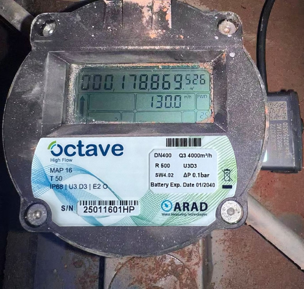 首台Octave DN400现场运行稳定